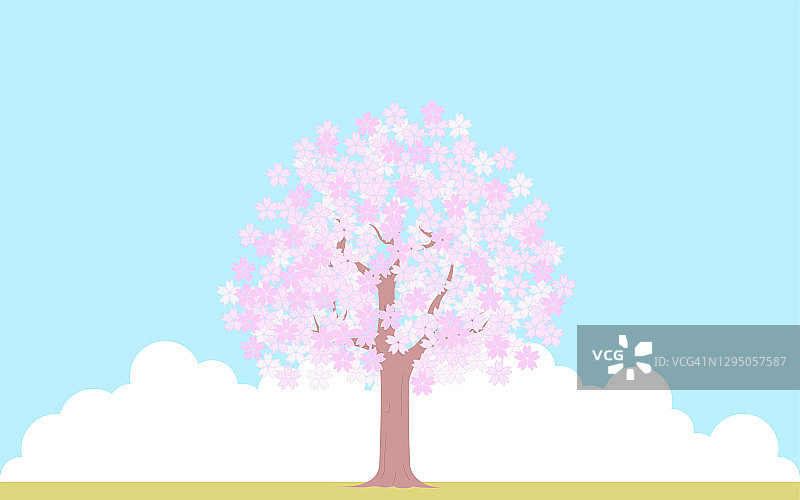 樱花盛开，蓝天白云为背景，插图材料图片素材
