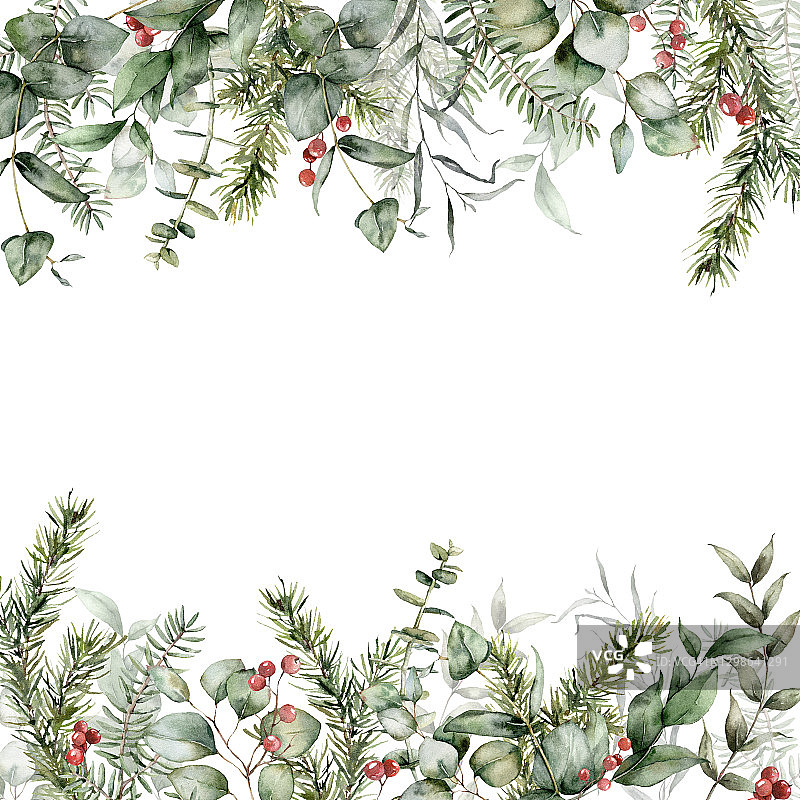 水彩圣诞方形卡片与浆果，冷杉和桉树枝。手工绘制的节日植物孤立在白色的背景。花卉插图设计，印刷，织物或背景。图片素材