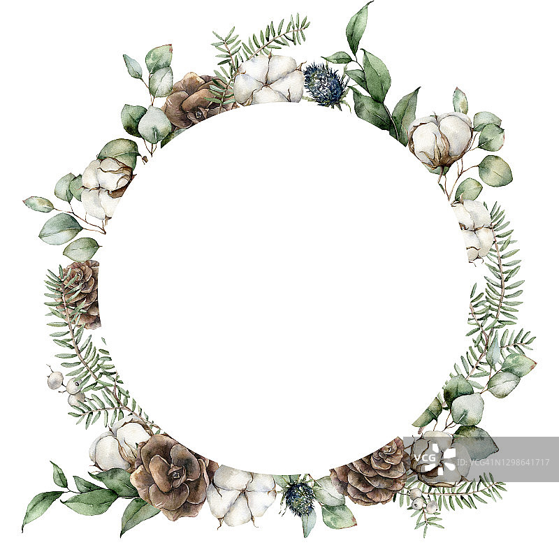 水彩圣诞圈框架与松果，桉树叶，冷杉树枝和棉花花。手绘假日插图孤立在白色背景。为设计，打印或背景。图片素材