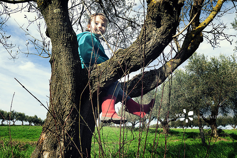 坐在树上微笑的女孩，意大利图片素材