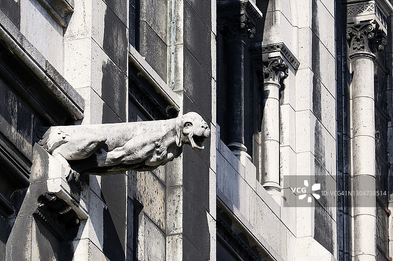 巴黎圣心大教堂正面的滴水嘴兽图片素材