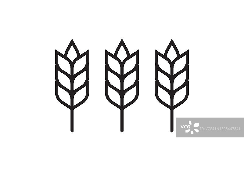 小麦或大麦轮廓图标。粮食的象征。矢量插图。图片素材