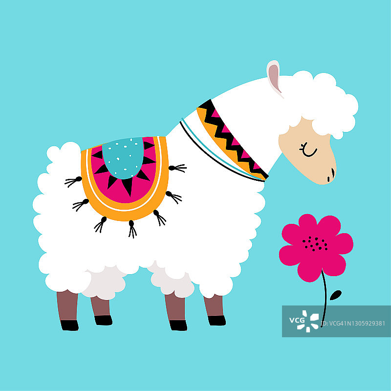 可爱的绒毛羊驼或羊驼作为驼峰包动物闻花矢量插图图片素材