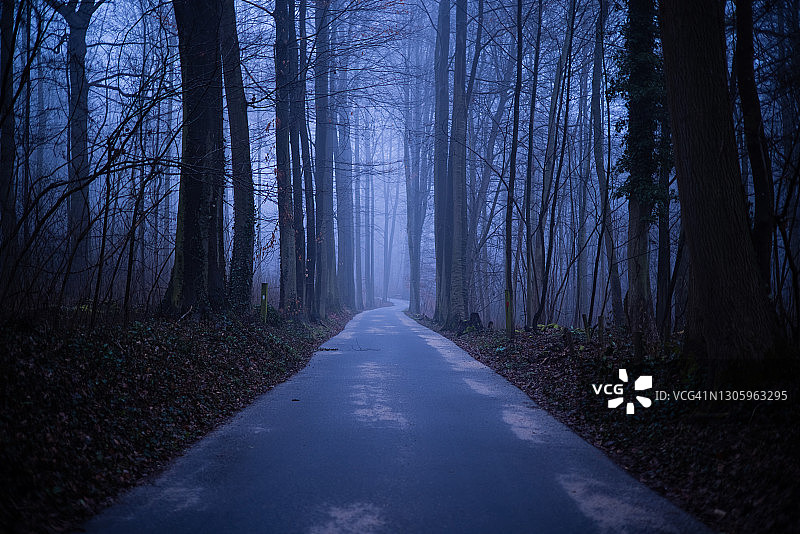空旷而废弃的道路在薄雾的森林中，寂寞而废弃在郁郁寡乐的树木之间的意境图片素材