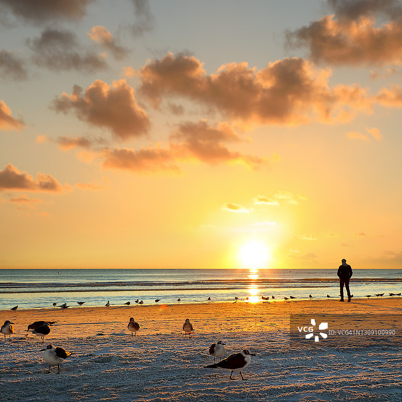 在海滩上看日落海景的人的剪影图片素材