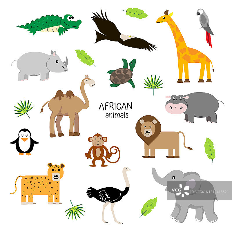 非洲动物集合。对儿童动物学。骆驼，大象，犀牛，鳄鱼，鹦鹉，河马，美洲虎，企鹅，乌龟，鸵鸟，鹰。图片素材