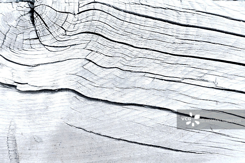 白色色调的天然木材纹理。图片素材