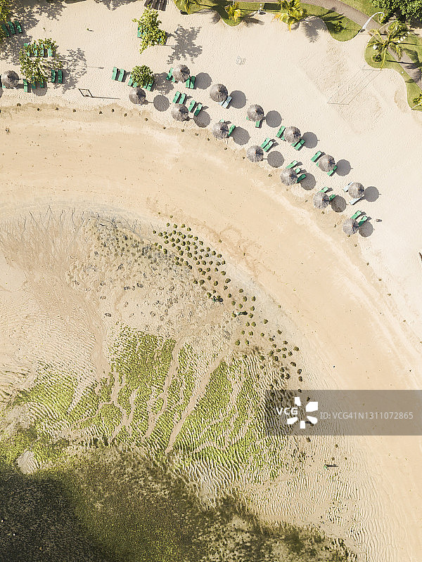 在夏天的沙滩上，鸟瞰一排排的沙滩伞和空空的躺椅图片素材