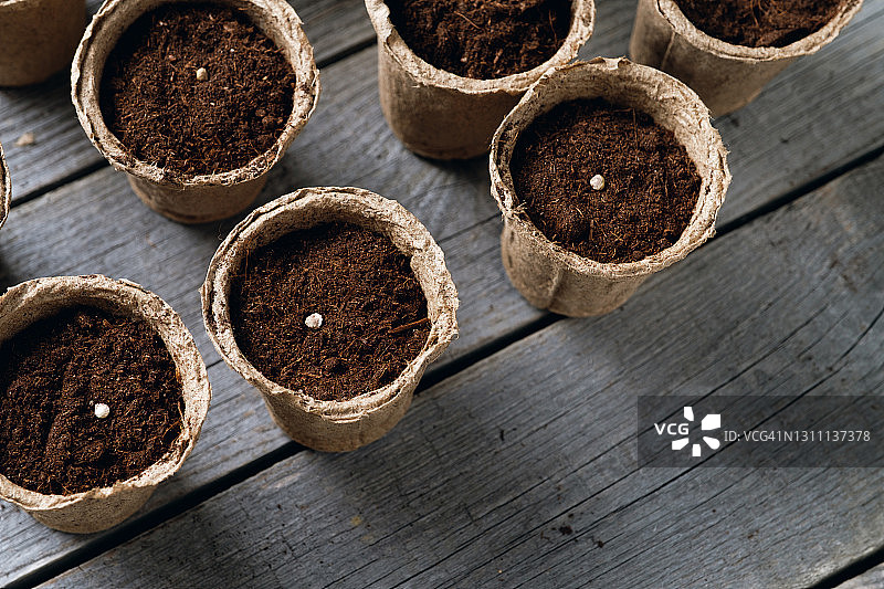 种子被放在装满土壤或黑钙土的泥炭盆里，特写。在木桌的背景上种植和播种鲜花、植物或蔬菜。种植有机农产品。园艺的概念,爱好。文本空间的拷贝。图片素材