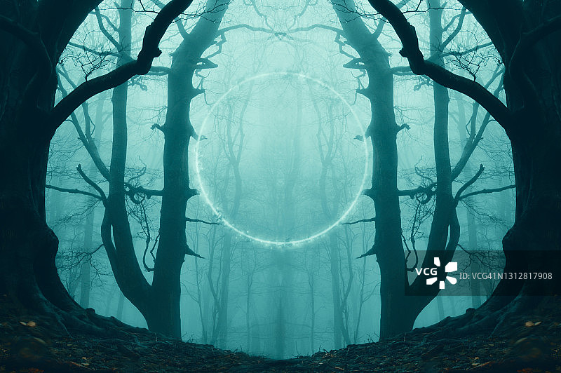 一个幻想，科幻概念，一个发光的，门户，门户漂浮在一个幽灵朦胧的森林的轨道上图片素材