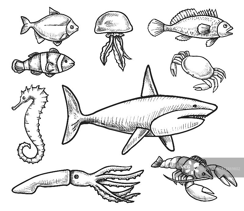 海洋生物居民徒手画图片素材