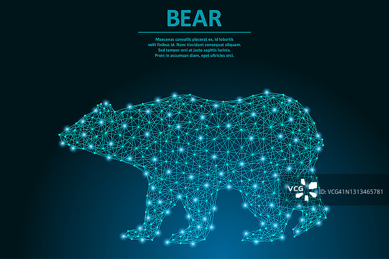 由点和线制作的熊，多边形线框网格，低多边形动物插图。图片素材