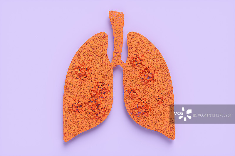 被冠状病毒感染后，橙色的人类肺部在紫色背景上。3 d渲染图图片素材