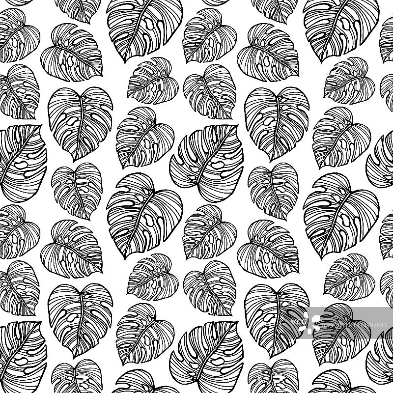 无缝图案手绘热带植物、叶、叶。在涂鸦风格，黑白颜色图片素材