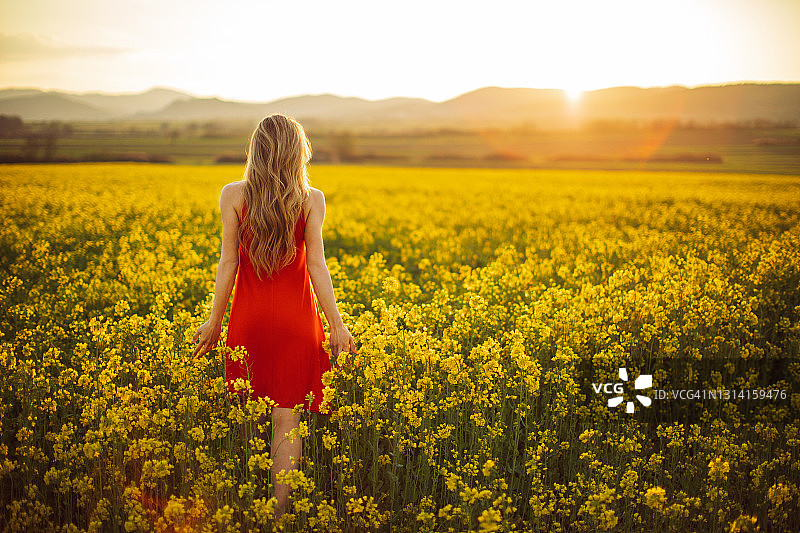 美丽的年轻女子穿着红衣服在黄花草地在日落图片素材