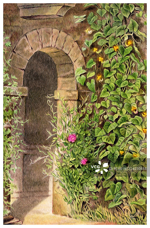 古老的攀缘植物色版画插图图片素材