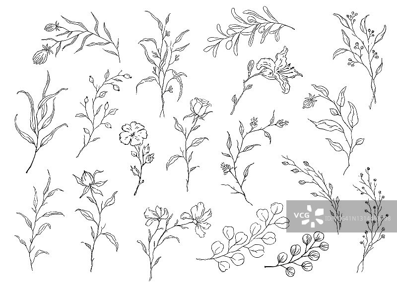 素雅手绘勾勒花卉元素，细枝细枝和花集图片素材