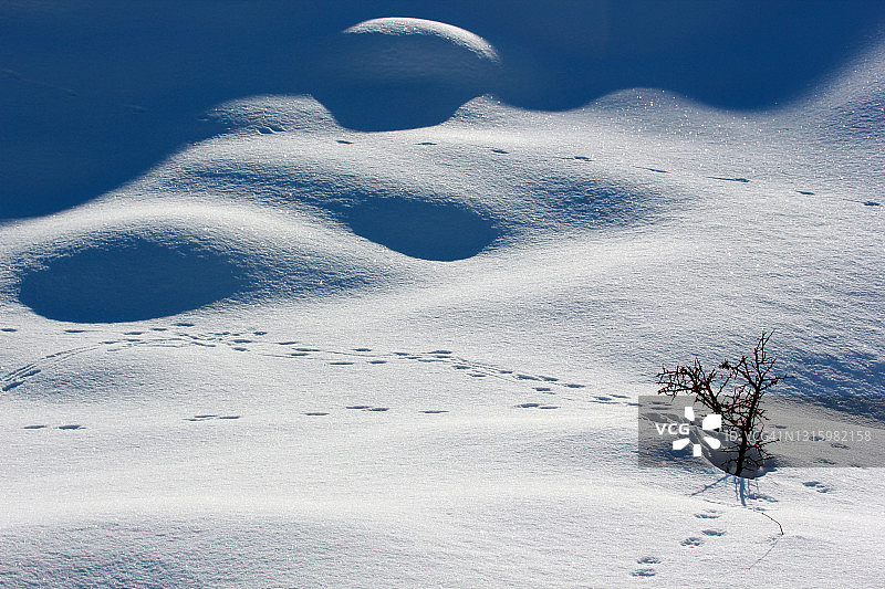 雪地上有动物的脚印图片素材