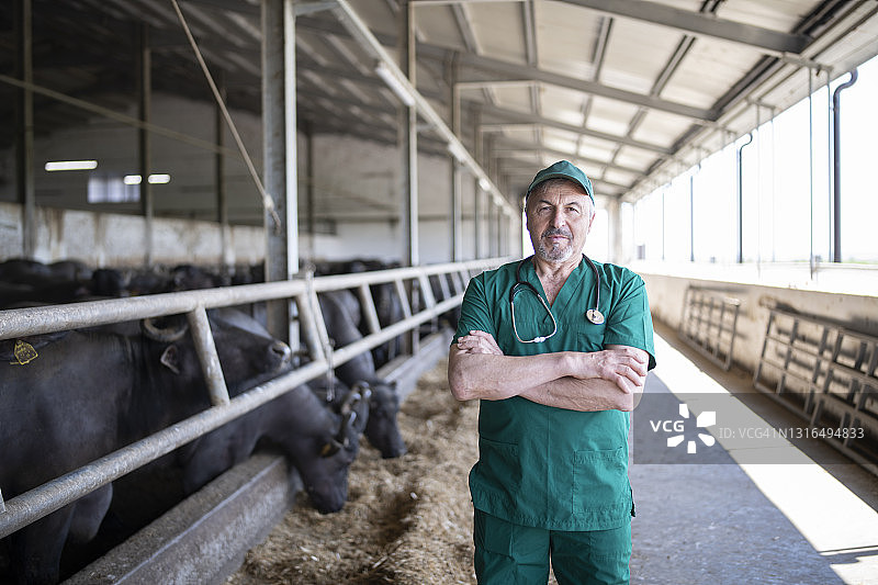 一个骄傲的兽医在水牛农场的肖像。图片素材