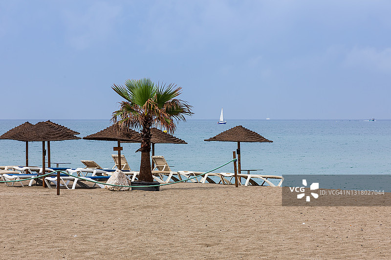 沙滩椅和带棕榈树的雨伞-海岸线地中海图片素材