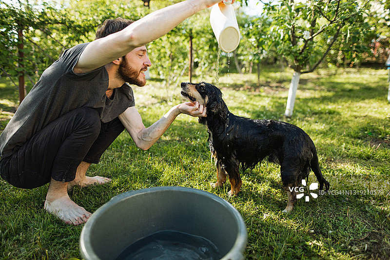 一个年轻人正在花园里给一只可卡犬洗澡图片素材