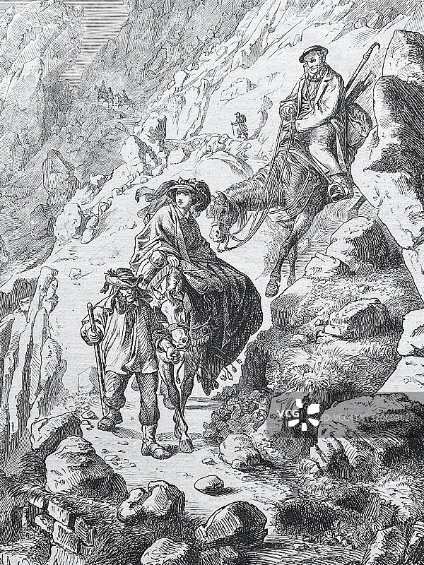 游客夫妇骑着马在阿尔卑斯山上下山图片素材