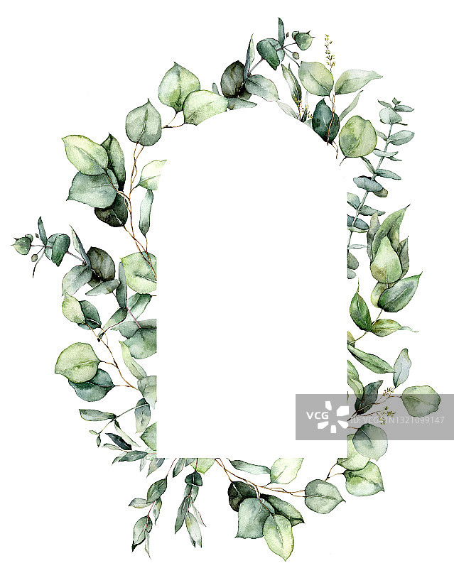 水彩椭圆形框架的桉树叶，树枝和种子。手工绘制的银元植物孤立在白色背景卡。花卉插图设计，印刷，织物或背景。图片素材