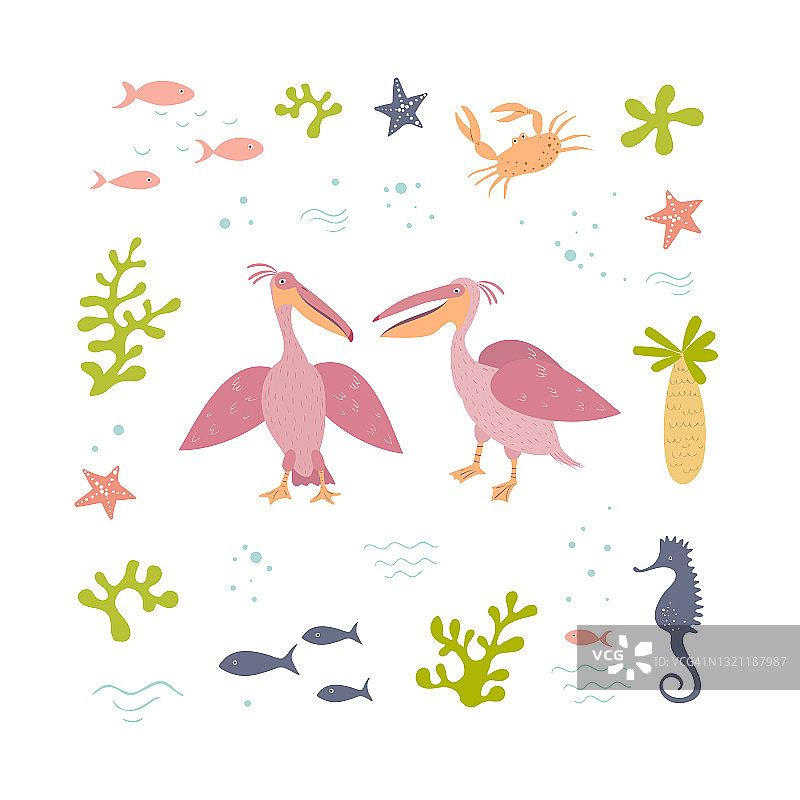 矢量集的两个粉红色鹈鹕和海洋项目。鹈鹕在海洋框架。手绘illusatration。图片素材