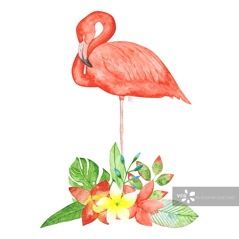 水彩火烈鸟和异国情调的花束孤立在一个白色的背景。手绘的粉红色热带鸟类剪贴画。五颜六色的火烈鸟一只腿。美丽的打印。图片素材