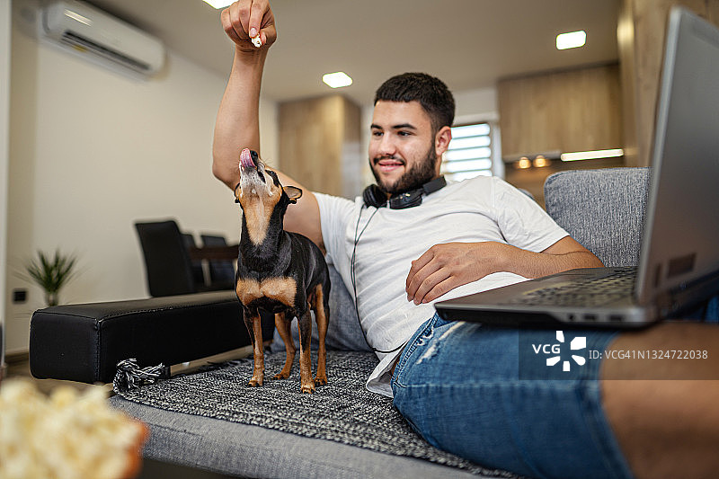 一个年轻人在客厅里玩他的迷你夹爪犬。图片素材