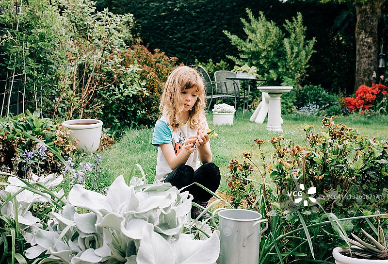 女孩坐在美丽的后院采花，看起来若有所思图片素材
