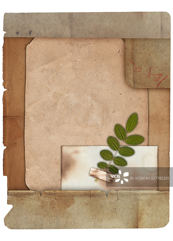 旧纸，干燥植物，划痕和污渍纹理隔离图片素材