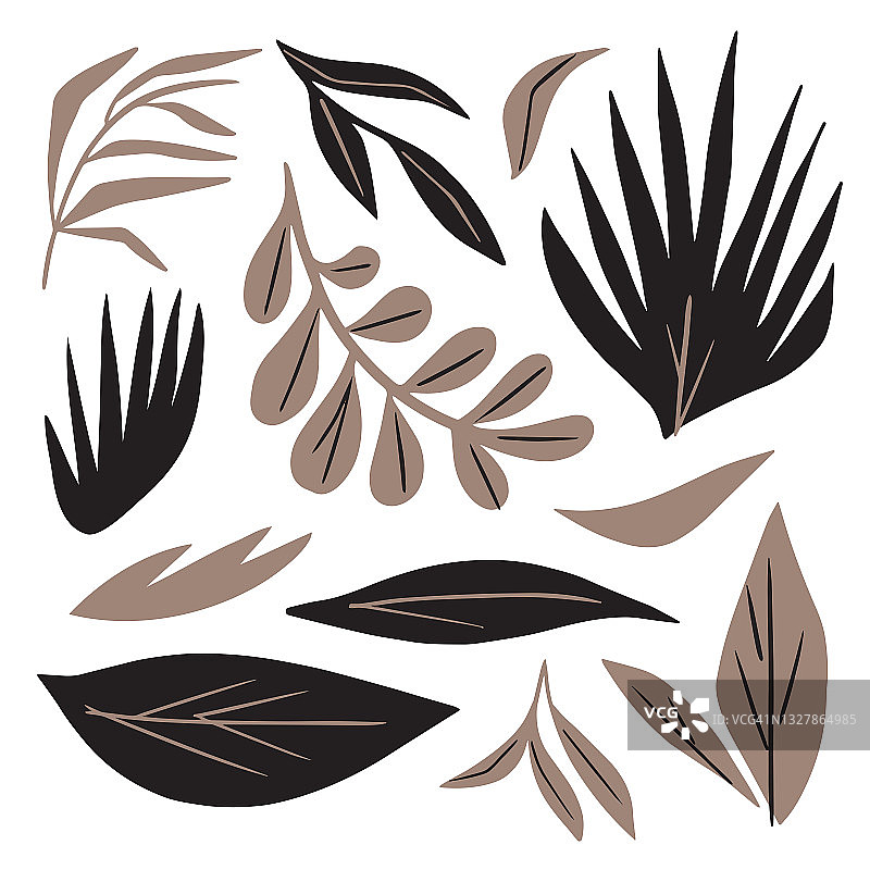 植物叶和茎的插图集-手绘矢量元素图片素材