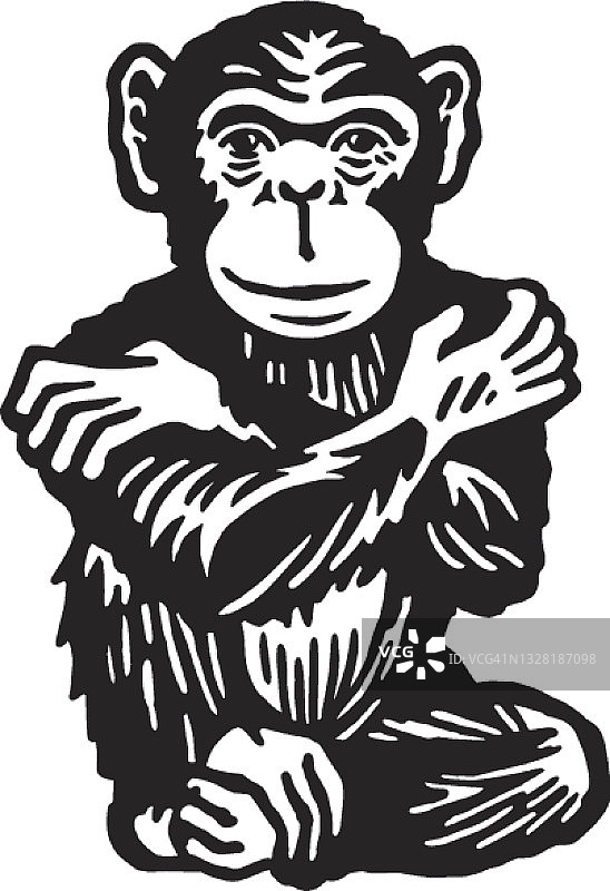 黑猩猩拥抱自己图片素材