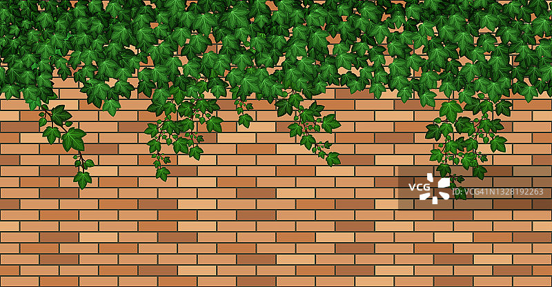 砖墙上长着常春藤。绿色的常青藤叶子攀附在建筑物、房屋或篱笆的棕色砖墙上。夏天树叶丛生，花园藤本植物和树枝。无缝的重复模式。纹理的背景。矢量图图片素材