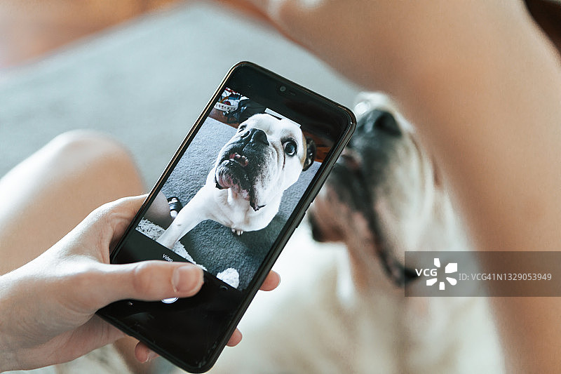 一个面目全非的人在家里用手机给他的狗拍照图片素材