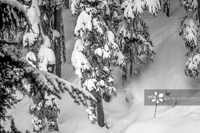 偏远地区的滑雪者穿过积雪的森林图片素材