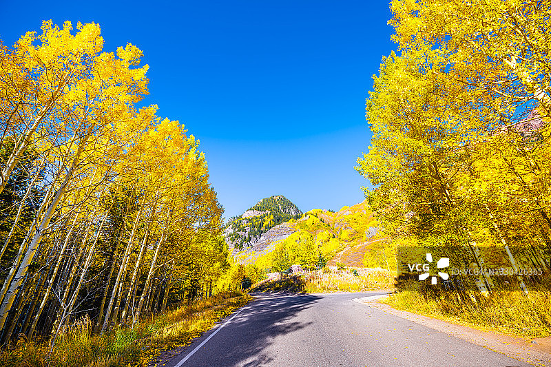 驾车行驶在美国科罗拉多州阿斯彭的栗色贝尔溪风景优美的道路上，落基山脉的山峰上有五颜六色的秋天黄色的树叶图片素材