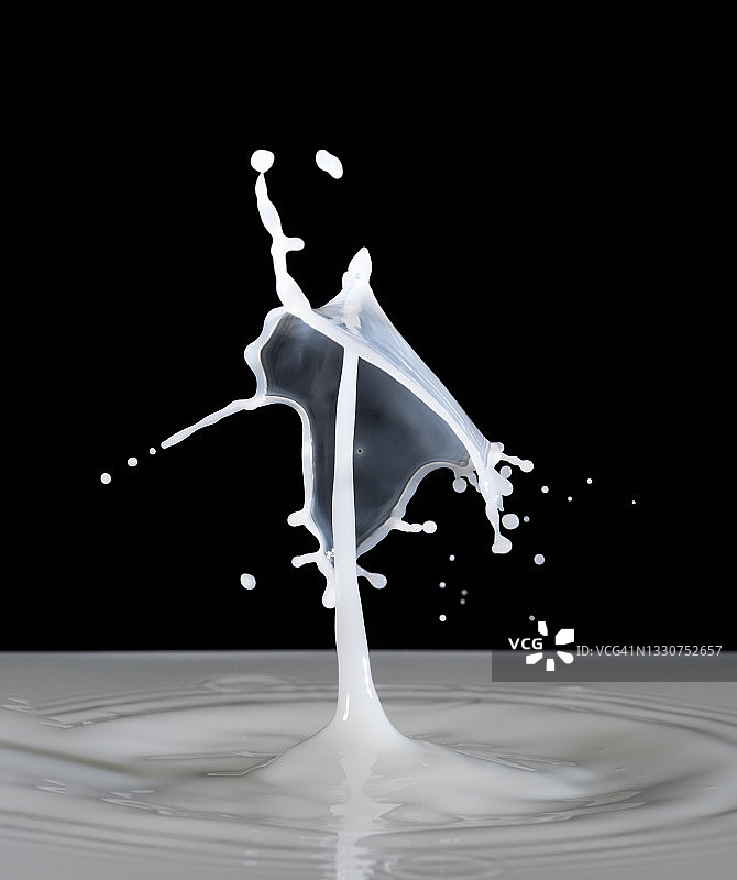 牛奶滴(水蘑菇)的碰撞，在黑色背景图片素材