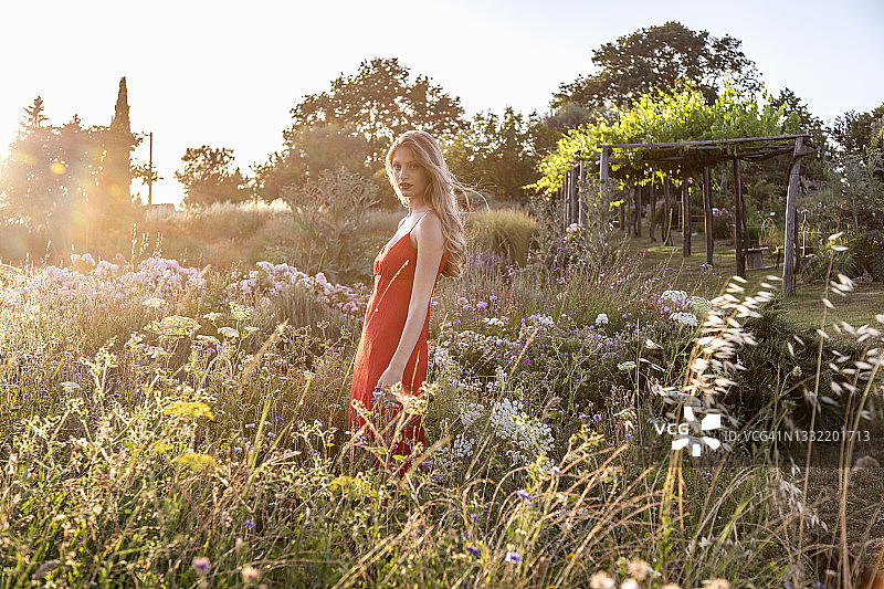 一个穿红衣服的美女站在花丛中图片素材