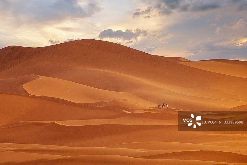 日出时分，骆驼穿过沙丘，蒙古戈壁沙漠图片素材