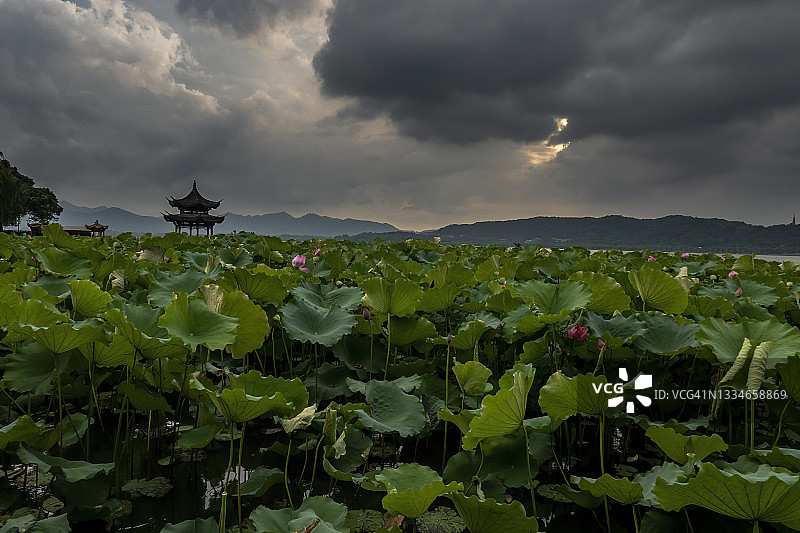 中国杭州西湖风光图片素材