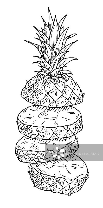 飞起的新鲜菠萝。复古版画黑色单色插图。图片素材
