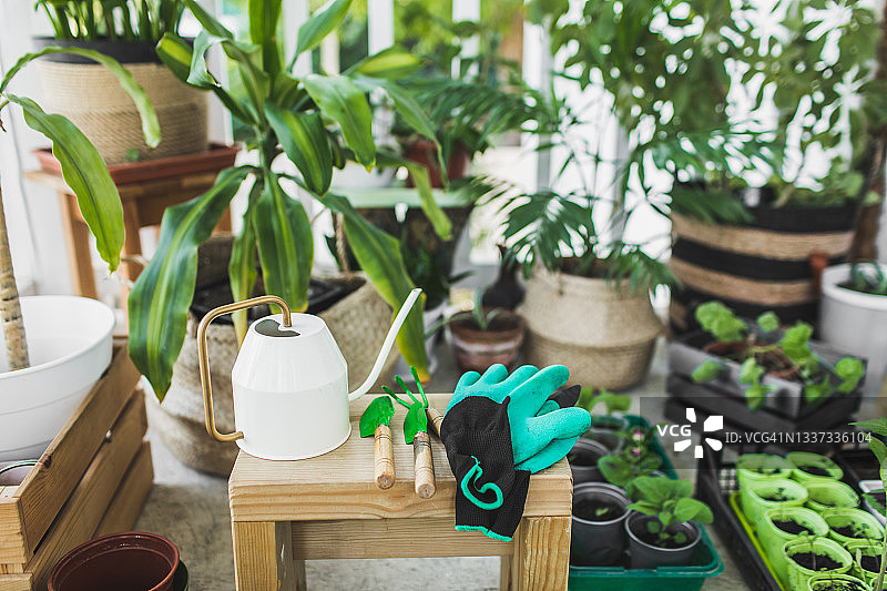 一套家庭园艺工具和土壤，用于家庭花卉栽培，植物移植在家庭露台。图片素材