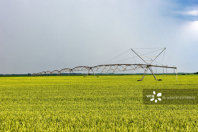 灌溉系统灌溉农田。在干旱的农村进行农田灌溉图片素材
