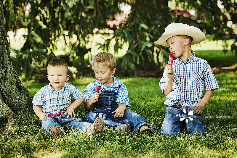 夏日早晨，年轻的兄弟们在农场的草地上吃冰棍图片素材