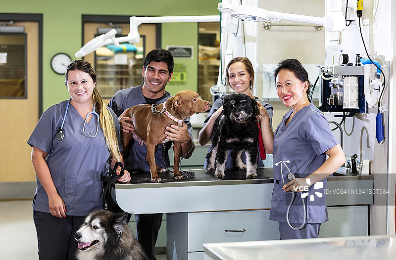 动物医院里带着狗的工作人员对着镜头微笑图片素材