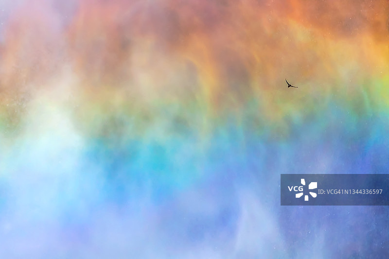 小鸟飞向彩虹图片素材