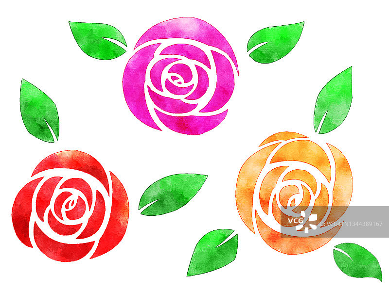 玫瑰插图。水彩风格。图片素材