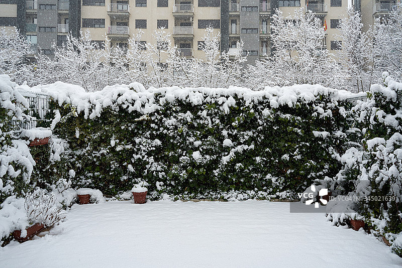 冬雪覆盖着庭院和花园，背景是一座建筑。环境的概念。图片素材
